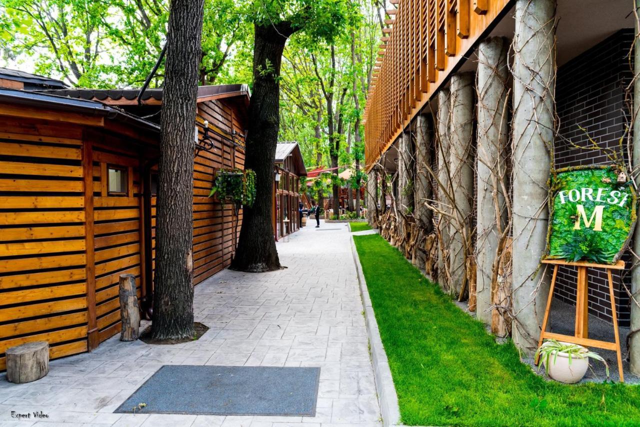 Forest M,Constanta Valu lui Traian Exterior photo